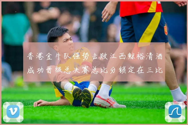香港金牛队强势击败江西鲸裕清酒成功晋级总决赛总比分锁定在三比零